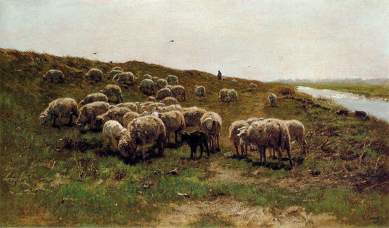 Mauve, Anton Sheep on a dyke Germany oil painting art